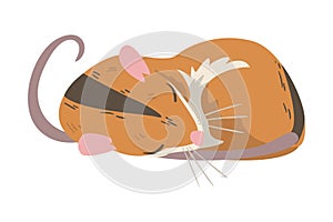 Striped Field Mouse as Small Rodent with Long Tail Cuddling Vector Illustration