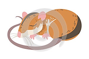 Striped Field Mouse as Small Rodent with Long Tail Cuddling Vector Illustration