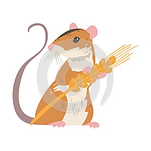 Striped Field Mouse as Small Rodent with Long Tail Holding Spikelet Vector Illustration