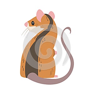 Striped Field Mouse as Small Rodent with Long Tail Standing Back View Vector Illustration