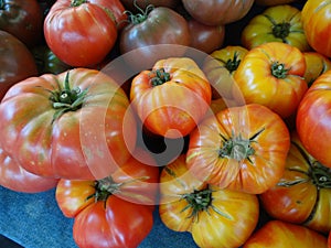 Striped German tomato, Solanum lycopersicum Striped German