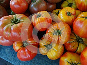 Striped German tomato, Solanum lycopersicum Striped German photo