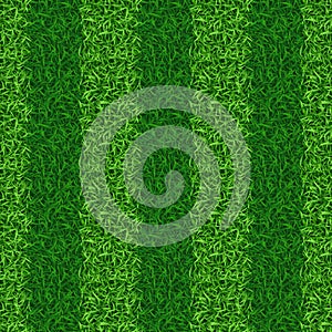 Striped green grass field seamless