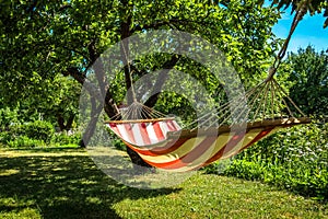 A striped hammock between two trees in a sunny green garden.