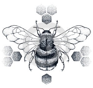 Striped honey bee sits on honeycombs. Tattoo.T-shirt illustartion