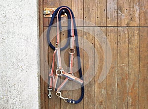 Striped horse bridle hanging on stable wooden door