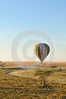 A striped hot air balloon floats above the plains of the Serengeti in Tanzania, Africa at sunrise; vertical image with copy space