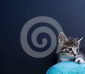 A striped kitten plays with balls of wool. Wicker basket, wooden floor and black background.