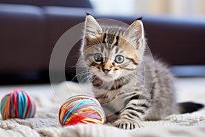 A striped kitten sits on the bed, playing with balls of multi-colored woolen threads. Little funny domestic cat in the house