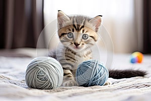 Striped little cat playing with grey and blue balls skeins of thread on bed. Curious kitten sitting over light blanket looking at