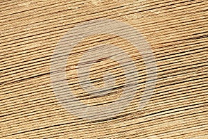 Striped paper pages background