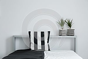 Striped pillow on black and white coverlet photo