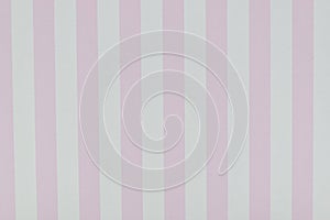 striped pink paper box on white background, package for design
