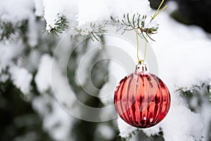 Striped red Christmas bauble hanging from snow-covered Christmas tree branch outdoors