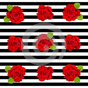 Striped seamless pattern red roses Black white design Retro background