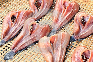 Striped snakehead fish on bamboo threshing basket in air sun for dried, dry striped snakehead fish sun dried, striped snakehead