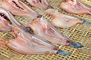 Striped snakehead fish on bamboo threshing basket in air sun for dried, dry striped snakehead fish sun dried, striped snakehead