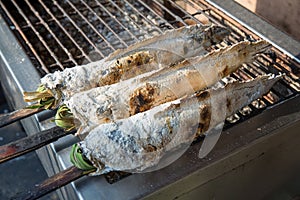 Striped snakehead fish grilled with salt. Pomegranate fish with salt and then burned for sales in the market. Thai style street f