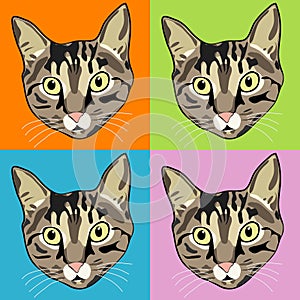 Striped Tabby Cat Faces