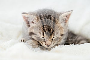 Striped tabby kitten sleeping on white fluffy blanket. Portrait beautiful fluffy cute gray kitten. Cat, animal baby, kitten lies