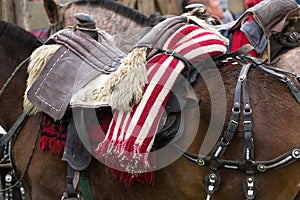 Striped traditional poncho on horse photo