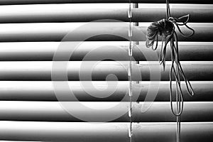 Striped window shuttering in light and shadow lines horizontal