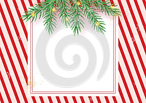 Stripes candy cane pattern with Christmas tree green branches. Diagonal straight lines Christmas background. Red and white