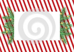 Stripes candy cane pattern with Christmas tree green branches. Diagonal straight lines Christmas background. Red and white