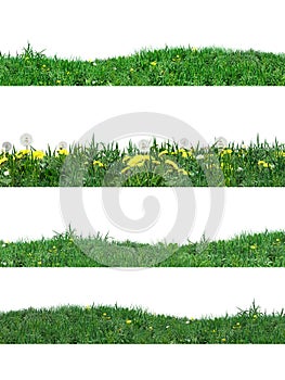 Stripes green grass background