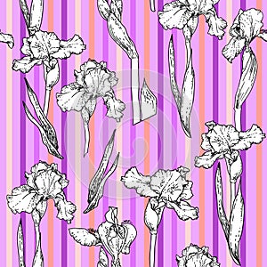 Stripes violet floral photo