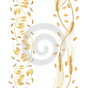 Stripes of Wheat and oat ears with grains seamless pattern. Golden spikes. Sheaf