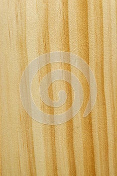 Stripey solid pine wooden texture background, natural varnish, real wood photo