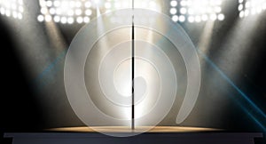 Stripper Pole Spotlit