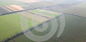 strips of fields aerial view