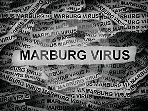 Strips of newspaper with the words Marburg Virus typed on them. Black and white