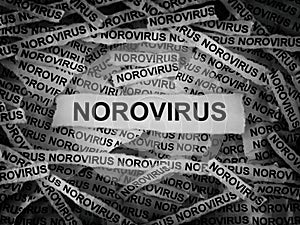 Strips of newspaper with the words Norovirus typed on them. Black and white.