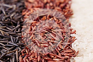 Strips of red, black and white rice close-up. Rice texture background.