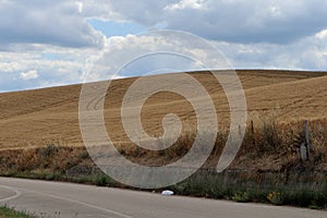 Strisce nei campi coltivati