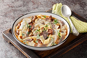 Stroganoff Soup is made with beef steak, mushrooms and noodles in a fragrant creamy broth closeup in a bowl. Horizontal