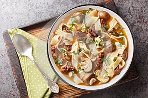 Stroganoff Soup is made with beef steak, mushrooms and noodles in a fragrant creamy broth closeup in a bowl. Horizontal top view