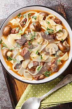 Stroganoff Soup with sauteed beef and onions in a creamy brown gravy, made with condensed cream and mushroom closeup in a bowl on