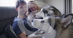 Stroke, laughing or happy couple with dogs in bedroom for bond, hug or wellness with trust or loyalty. Playing, funny