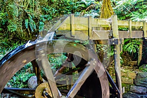 A strole through the Pukekura Park botanical gardens. New Plymouth Taranaki New Zealand