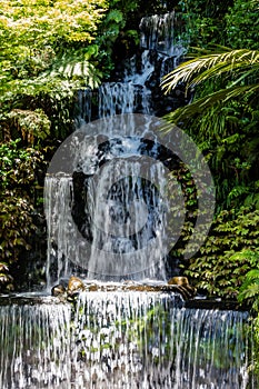 A strole through the Pukekura Park botanical gardens. New Plymouth Taranaki New Zealand