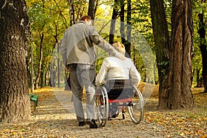 Stroll in the fall park