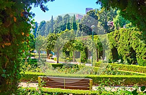 A stroll in Gardens of Pedro Luis Alonso, Malaga, Spain photo