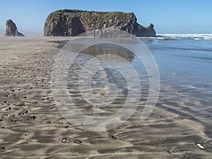 A stroll on a Northern California beach