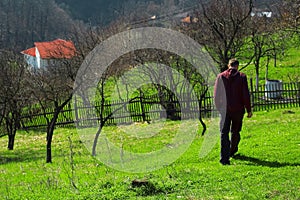 Strolling in Baia Mare, Romania