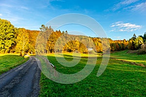 Strolling through the glorious sunshine on an autumn day near Steinbach-Hallenberg