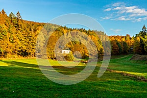 Strolling through the glorious sunshine on an autumn day near Steinbach-Hallenberg